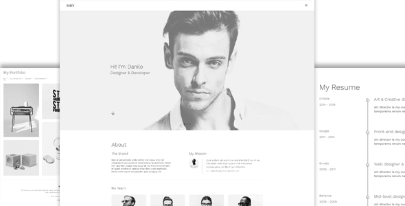 Shin Onepage Personal Portfolio