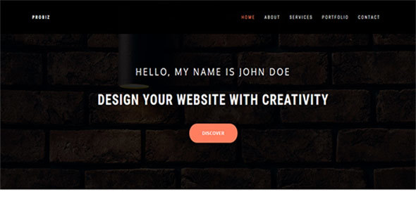 Probiz-personal portfolio html landing template