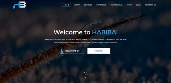Habiba - Portfolio and Cv HTML-5 Bootstrap Template