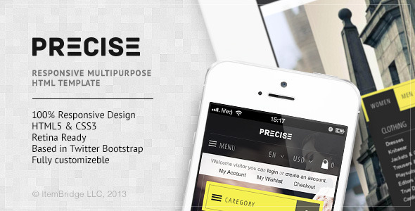 Precise — Multipurpose Responsive Template