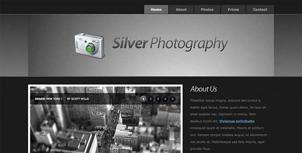 Silver Photography | Photo Template