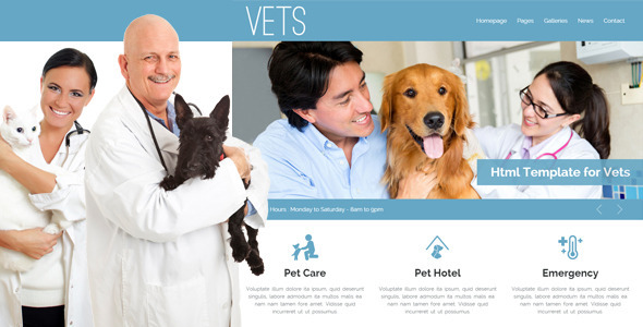 VETS - Veterinary Medical Health Clinic Template